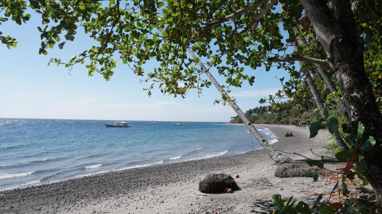 Wellbeach Dive Resort Zamboanguita  Exterior photo